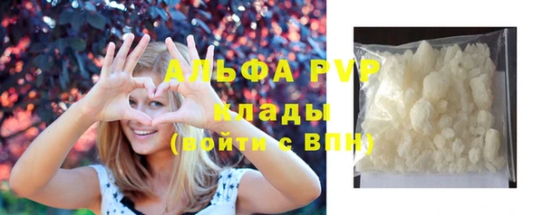 твердый Вяземский