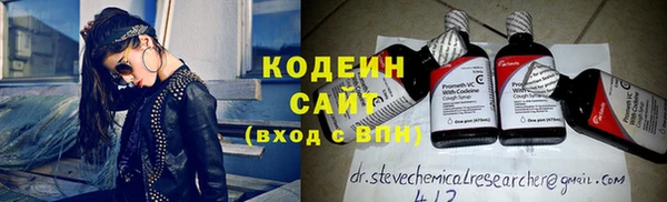 индика Вязьма