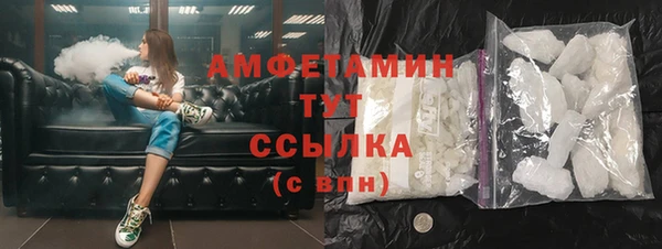 индика Вязьма
