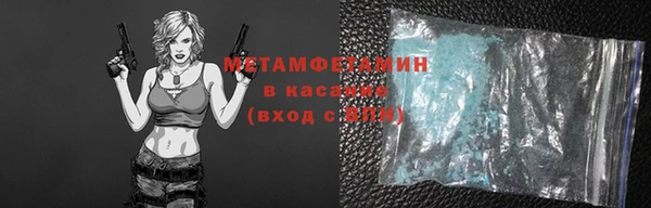 индика Вязьма