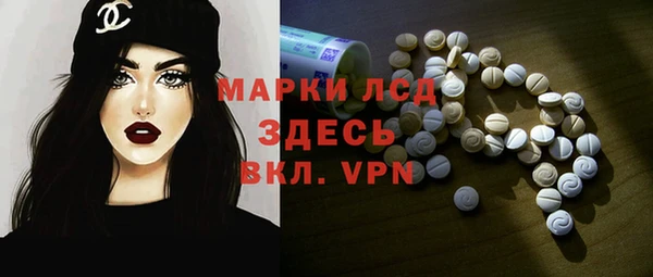 твердый Вяземский