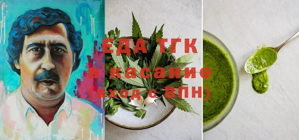 индика Вязьма
