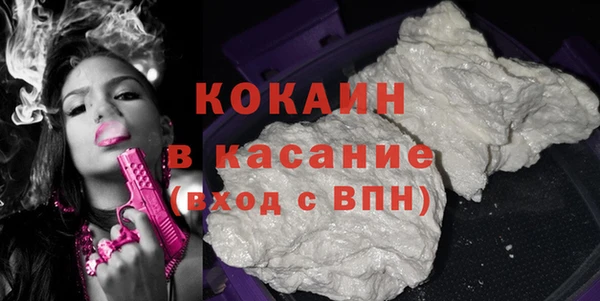 индика Вязьма