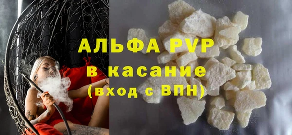 твердый Вяземский