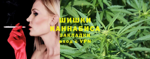 твердый Вяземский