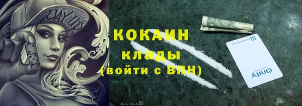 твердый Вяземский