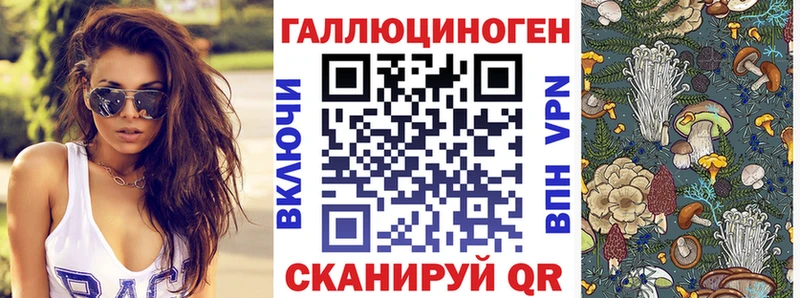 Псилоцибиновые грибы GOLDEN TEACHER  Закаменск 